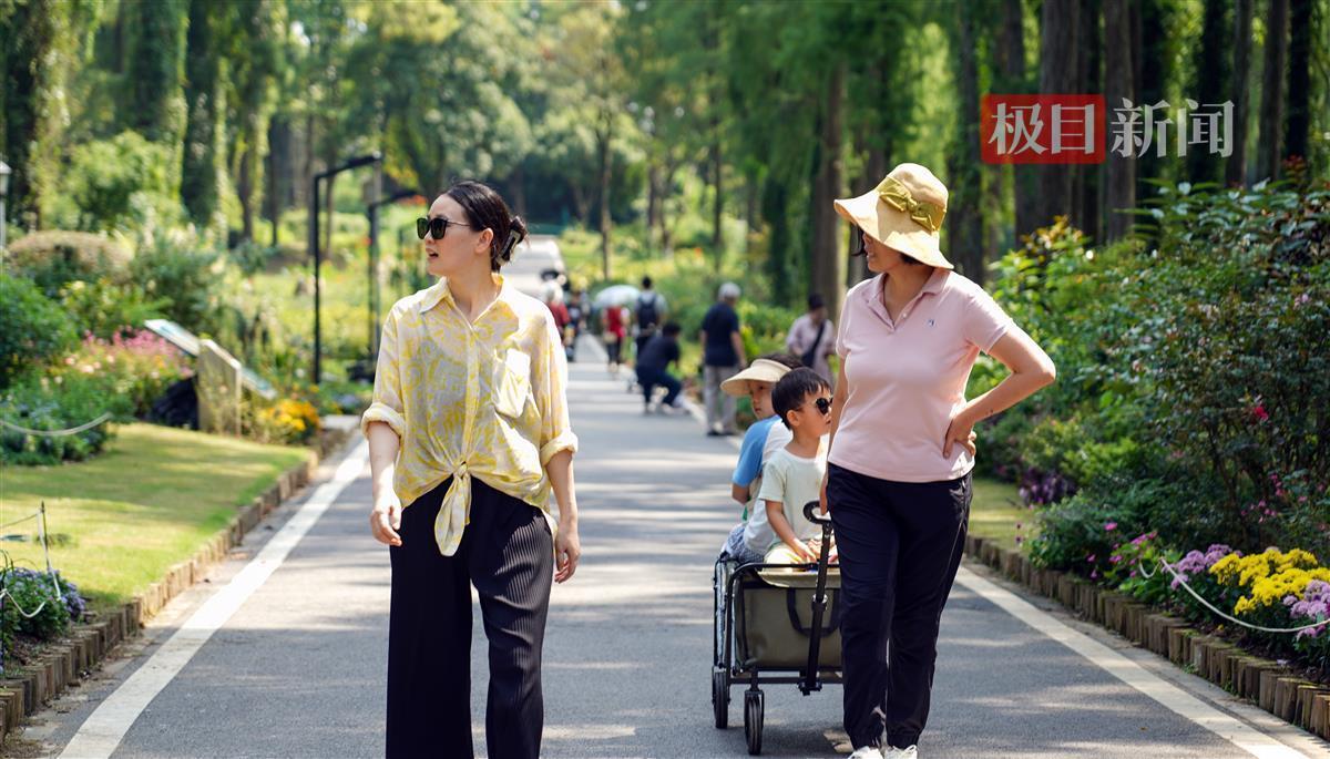 数30技巧必赢